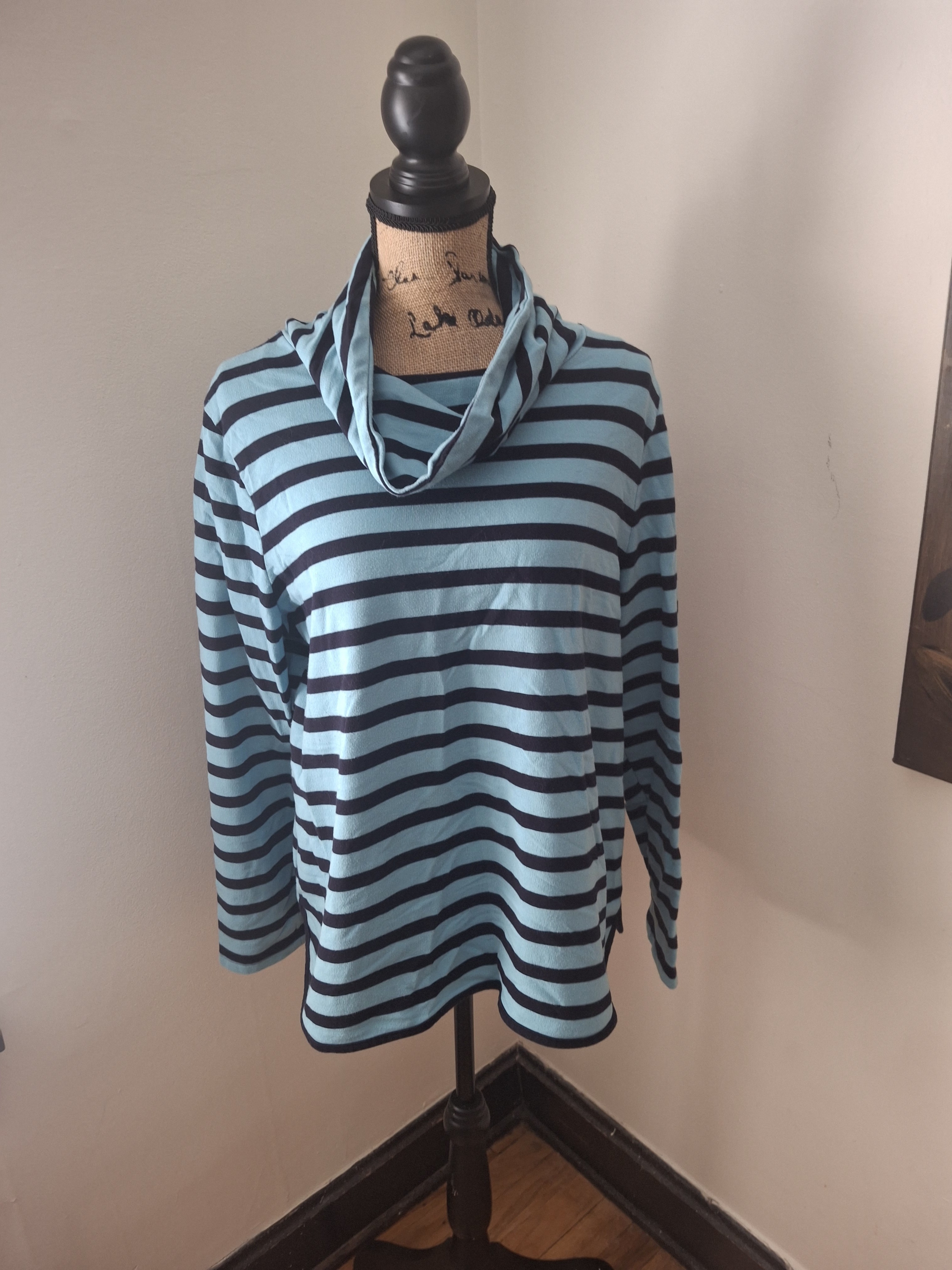 The Blue  Blue Striped